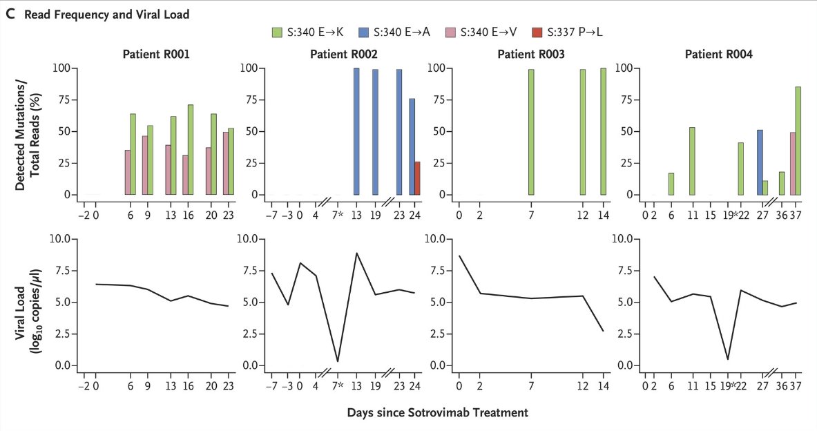 Spike mutations seen in this study were not among the most common found by <a href="/PeacockFlu/">Tom Peacock</a> &amp; <a href="/pathogenomenick/">Nick Loman</a> in their recent study of chronic infections, indicating Sotrovimab treatment creates evolutionary pressure resulting in uncommon antibody-evading mutations. 3/7