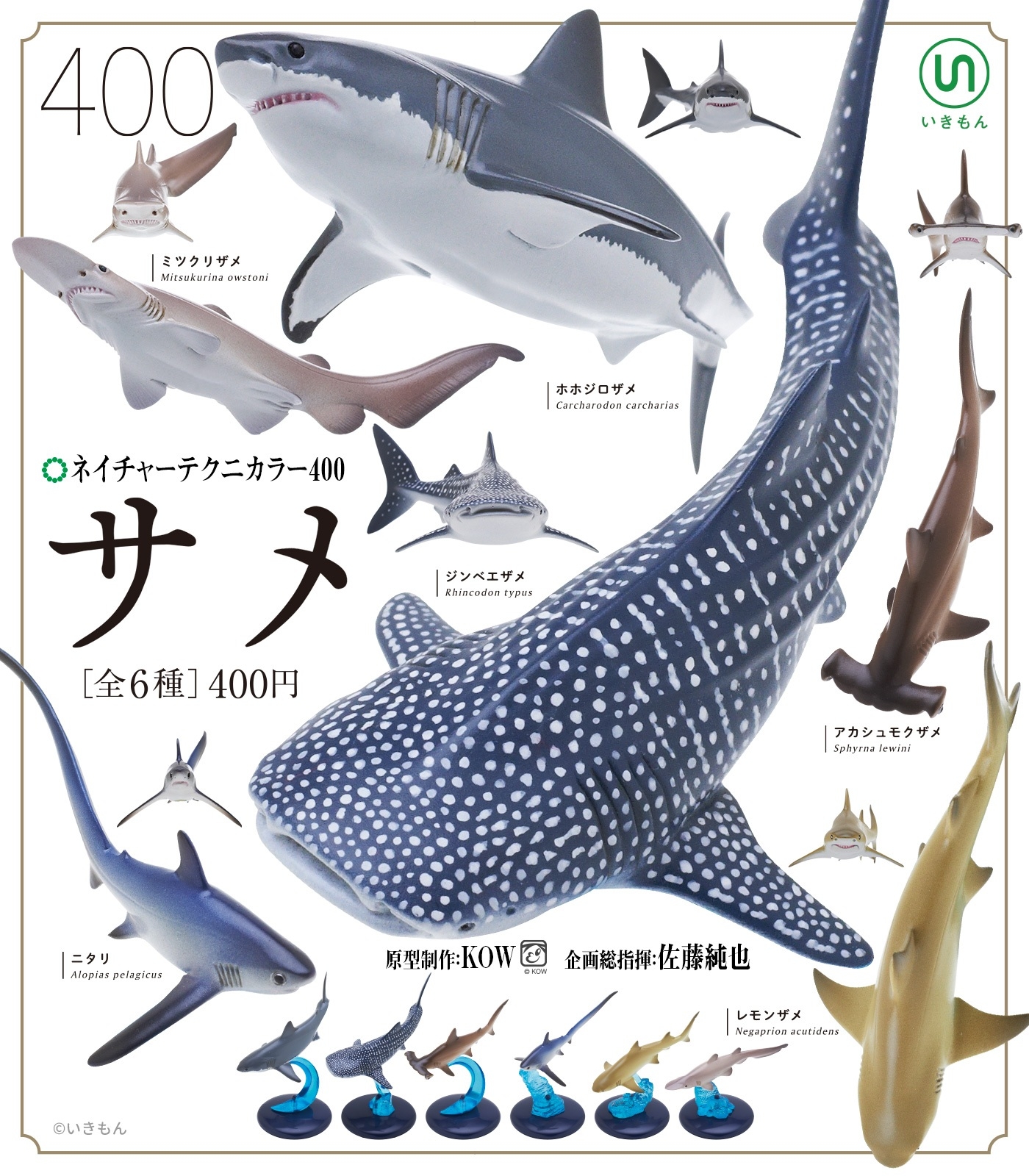 サメ Twitter Search Twitter