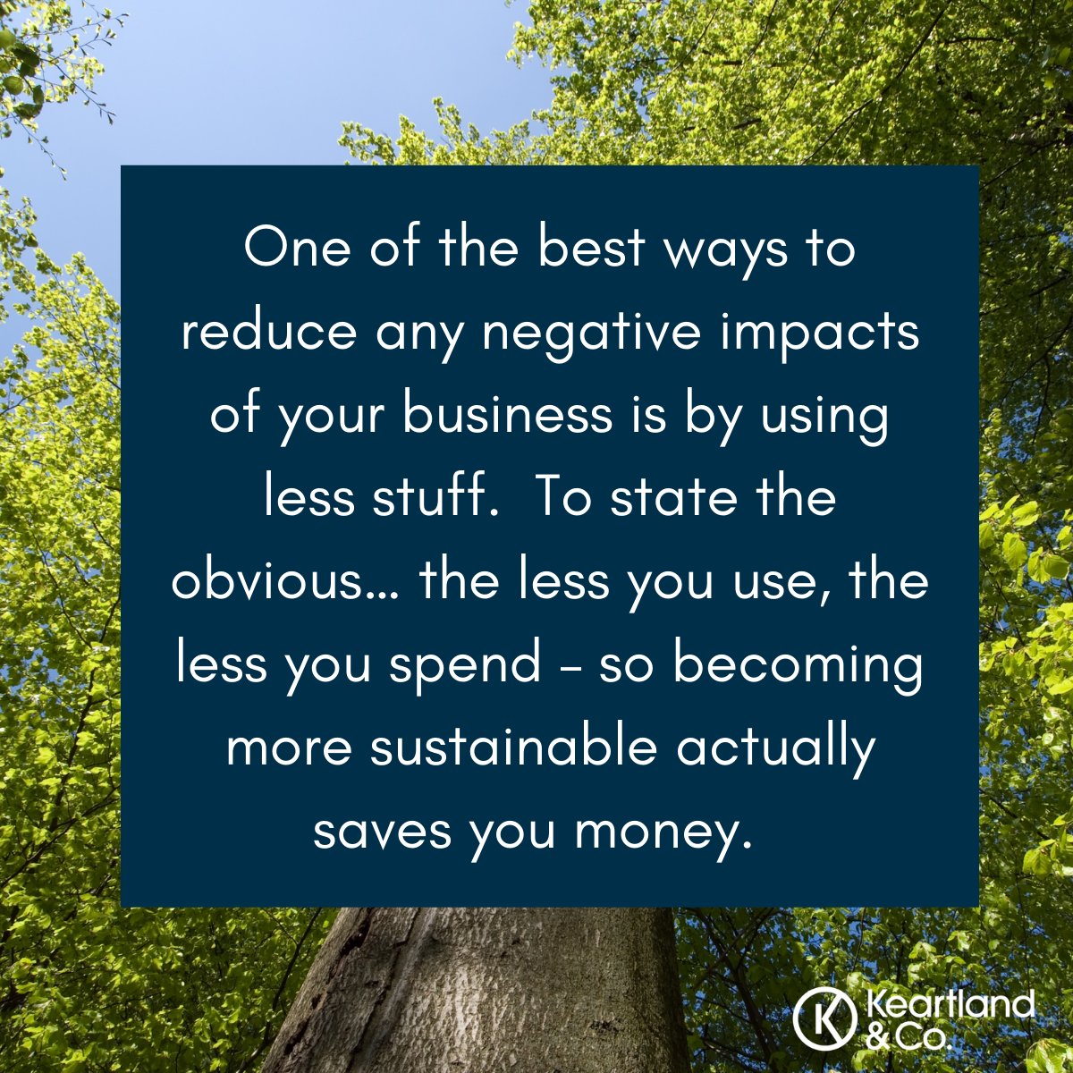 Starting your net-zero journey doesn’t have to be expensive – in fact, if you’re a professional services business then it doesn’t have to be expensive at all. Cost shouldn’t be a reason you’re not making your business more sustainable.

#netzero #sustainablebusiness