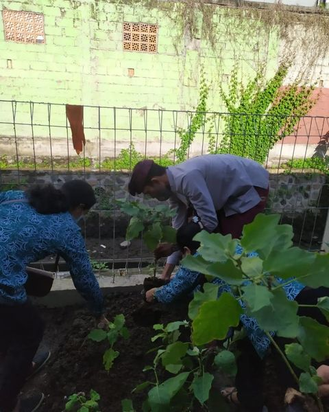 DenpasarKota's tweet photo. terdiri atas kunyit, jahe dan sayuran. Nantinya tanaman tersebut dirawat oleh kader PKK dan dipanen.
#menanam #sayurmayur #TPPKK #denpasarkota #sagungantariJN #ayukristi https://t.co/lK2WUD12lN