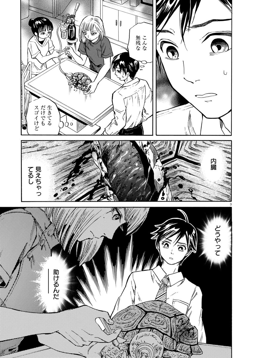 ハルタ on X: 