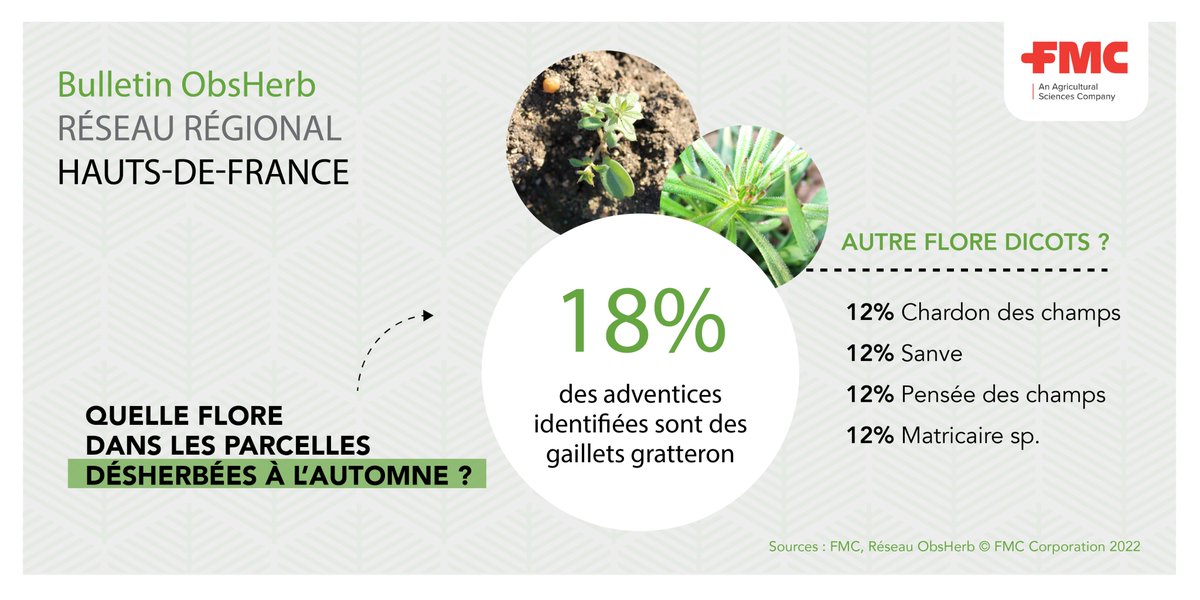 CharlotteB_FMC's tweet photo. 🔔Bilan #ObsHerb #hautsdefrance🌱

🔹Des #adventices dans 4⃣1⃣ % des parcelles désherbées cet automne 
🔹Début des levées de chardons

Plus d'informations ici ⤵️ https://t.co/XkZ1mcfl8q