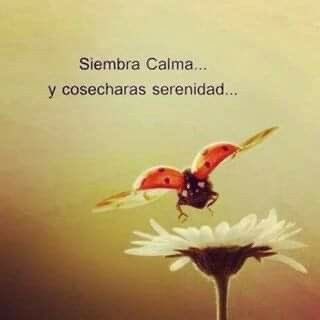 CoffeeMoon92's tweet photo. Si arriesgas puede fallar…pero si no arriesgas… todo seguirá igual!
#Visualizate ☕️🦋♾ https://t.co/mqWlrhl7kw