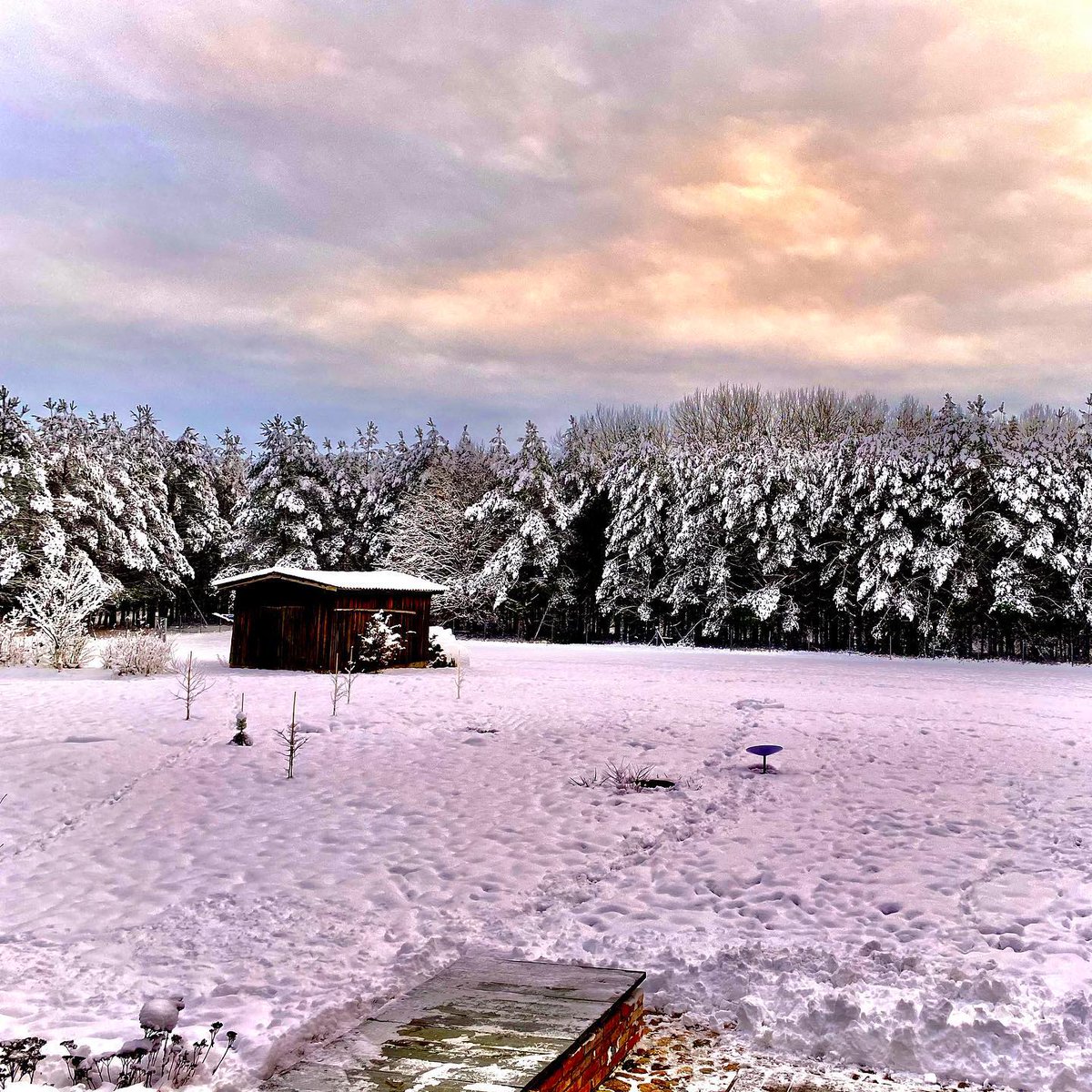 PolandTravel_UK's tweet photo. 🌲 Drawa National Park is located in northwest Poland.
🦢 The Drawa River runs through the west side of the park. The park has several lakes and is home to around 150 bird species
#VisitPoland #Travel | 📸 IG mzbrzyzny
#Drawa #Drawanationalpark #nationalpark #poland #travel https://t.co/wXjYDWZivl