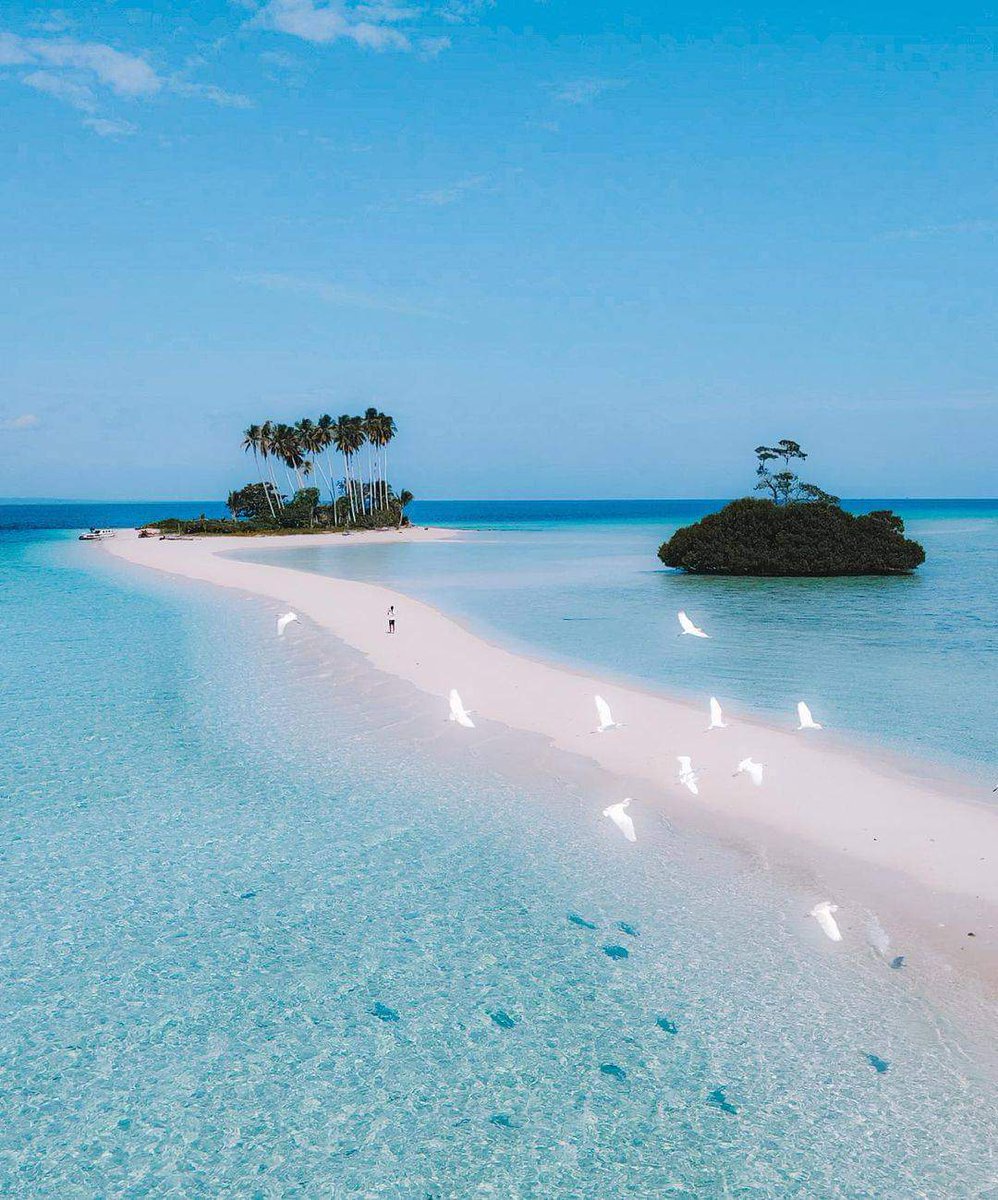 Wisata_IDN's tweet photo. Maldives❎
Indonesia✅
Maratua islands, east Kalimantan. https://t.co/SYCRLFfC3P