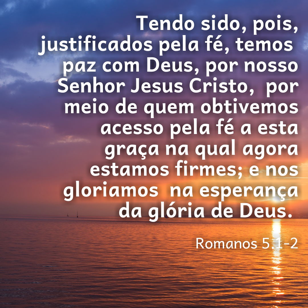 Marcos Brasil 🇧🇷📈 (@marcosa14791297) on Twitter photo 