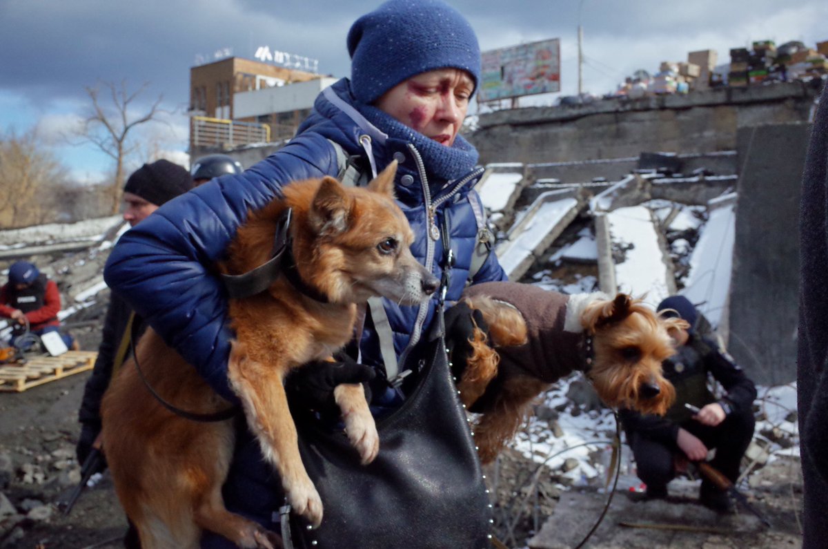 Visegrád 24 tweet media