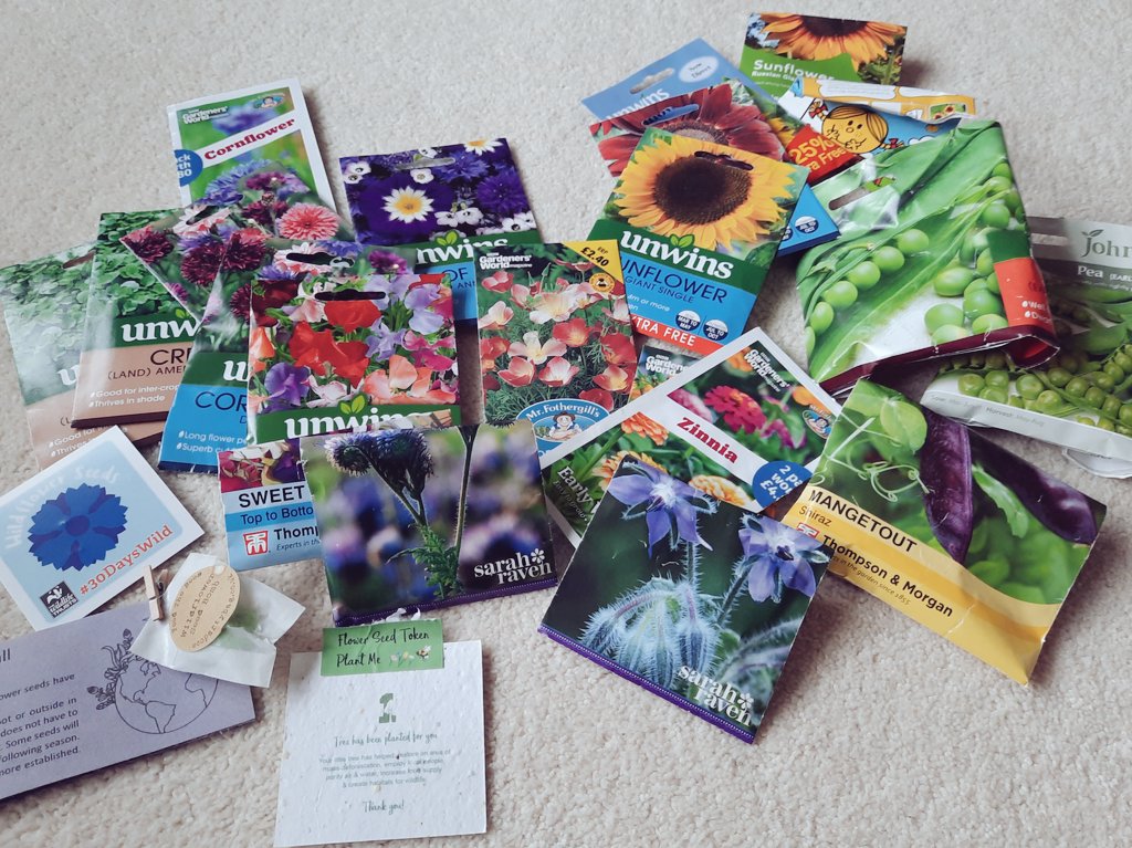 Bozzle's tweet photo. Having bit of a weak and pathetic week physically, but sorting out seeds is cheering me up ready to hit the ground running next week. 💪 I have a LOT of sunflower seeds considering I have no space to grow them... Maybe in the lawn? 🤔😆 🌻🌸🌼🌺🌷 #amresting #seeds https://t.co/ZYcG0Q3dCI