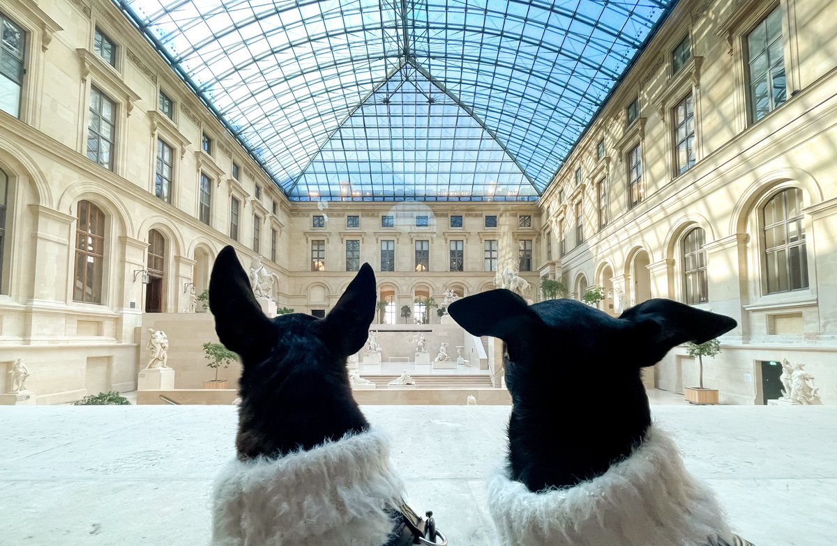 LALUDoggies's tweet photo. Did you know that the Louvre is the largest museum on Earth featuring hundreds of thousands pieces of art including some of the world’s most famous masterpieces? 🤩 #dogsoftwitter #twitterdogcommunity #dogsofinstagram #miniaturedogs https://t.co/kniUykN8gS