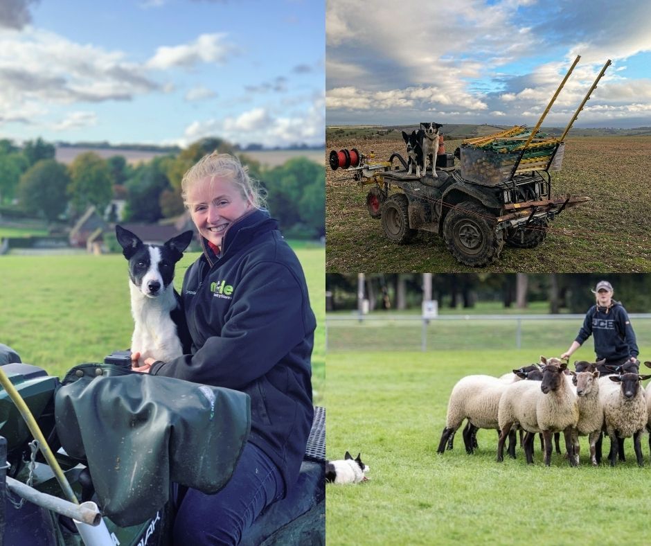 BritishWool's tweet photo. Our #InternationalWomensDay blog series continues... https://t.co/js59rBq7yZ

We chatted with Clover Crosse

Clover is part of this years @natsheep Next Generation Ambassador programme

#BritishWool #Wool #IWD #Women #WomenInBusiness #WomenInIndustry #Farming #Sheep #Farmher https://t.co/HpTY2rNuIE