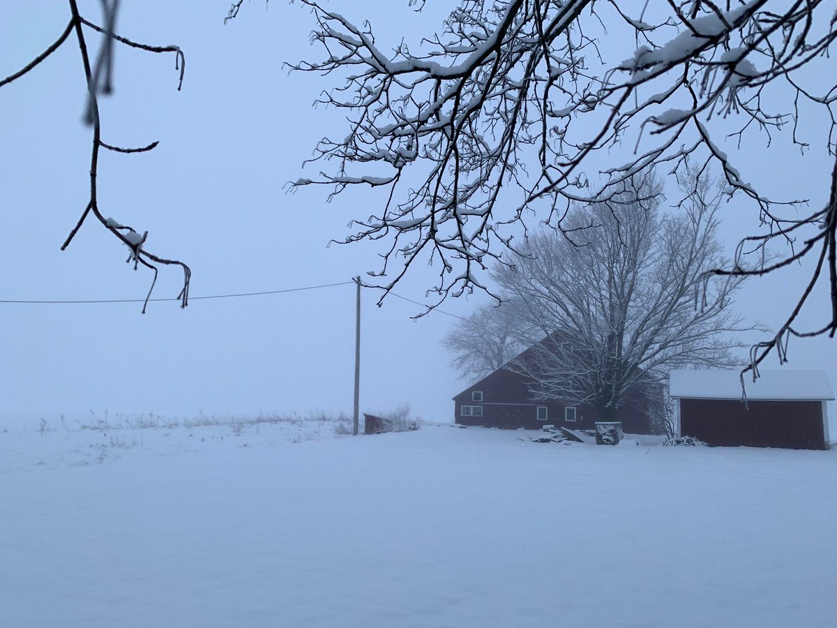 Snow and fog. March certainly has come in like a lion.