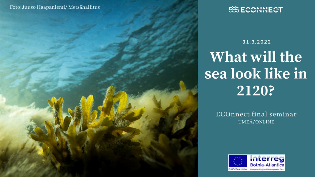 Remember to register to the ECOnnect project's final seminar!
Registration open until March 15th: link.webropolsurveys.com/Participation/…
Program: econnect2120.com/wp-content/upl…