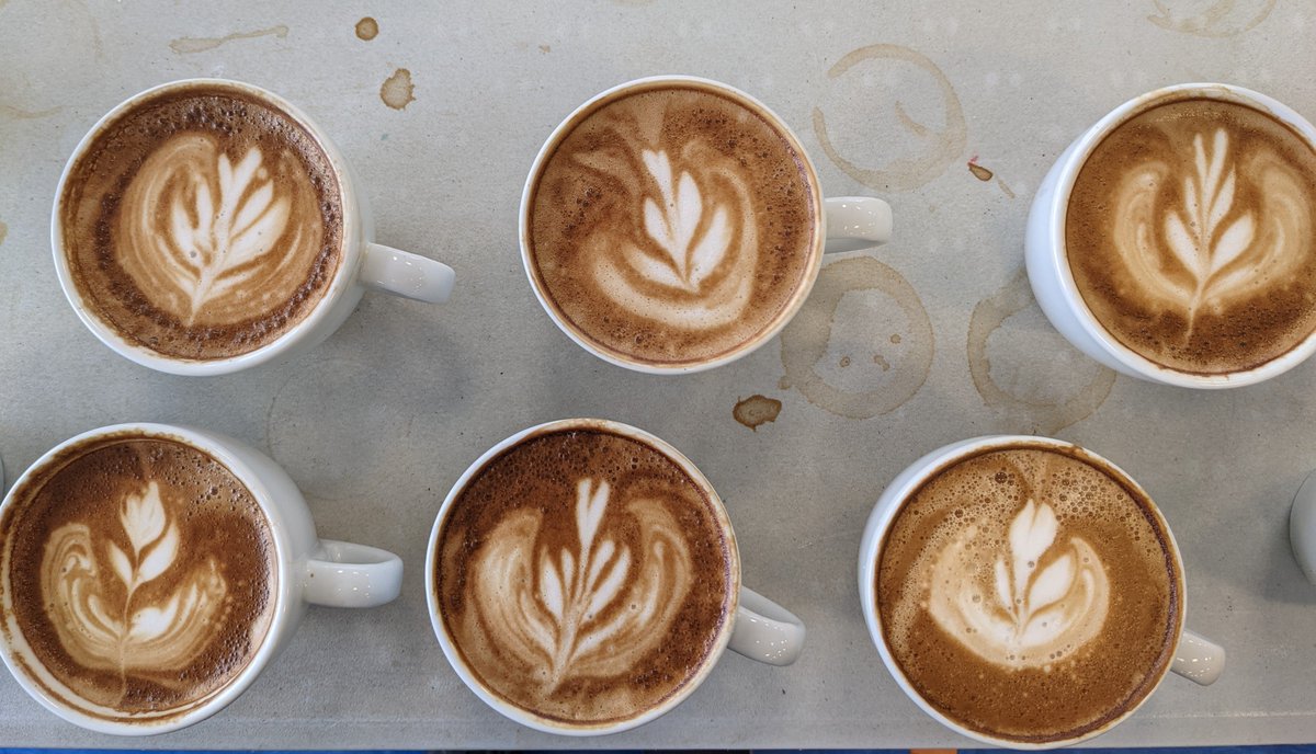 davidc_fare's tweet photo. Our Barista course is a fantastic starting place for those looking to learn new skills ☕️  Equally, it is a great course to upskill those with experience.

Great to see the impact day 1 has had on one of our experienced participants

@FARE_Scotland @mywowscotland @skillsdevscot https://t.co/P09JS5LMRs