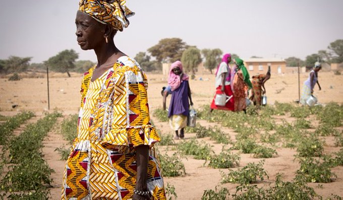 Rural women as agents of climate change