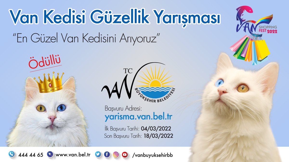 En güzel Van kedisini Shopping Fest’te seçiyoruz. 🐈

#VanShoppingFest
#Van