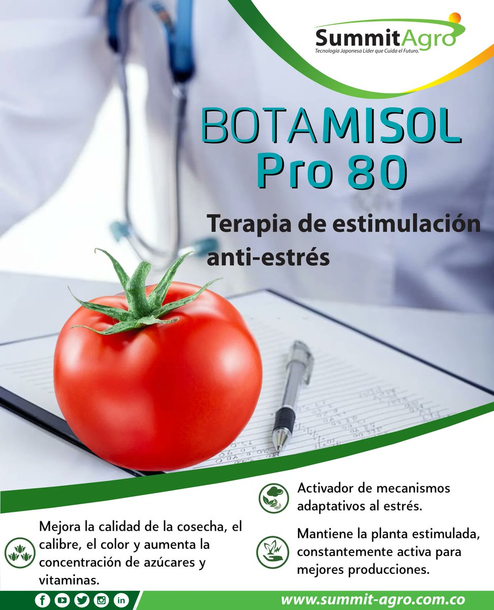 SummitAgroCL's tweet photo. Nuevo Botamisol Pro, Terapia de estimulación anti - estrés para sus cultivos. Recomendado para agricultura convencional y orgánica. #summitagro #summitagrocolombia #botamisolpro #bioestimulacion
https://t.co/AiOI6HmId5 https://t.co/pSl9ok46n0