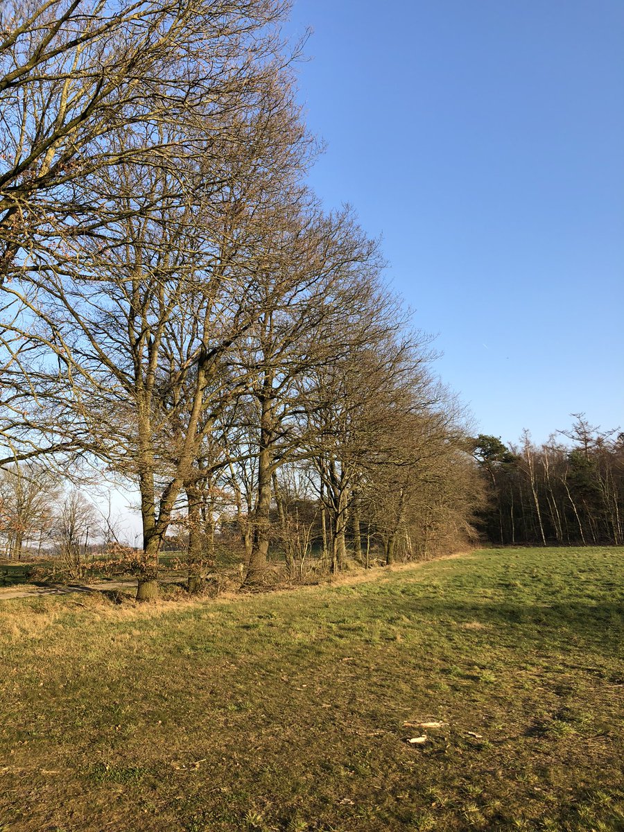 Goedemorgen mensen,
Het ziet ernaar uit dat het een mooie zonnige dag wordt net zoals gisteren. Genieten !!
 
📌 Het Marissen - the Netherlands 
#NaturePhotography 
#hetsmalstestukjenederland