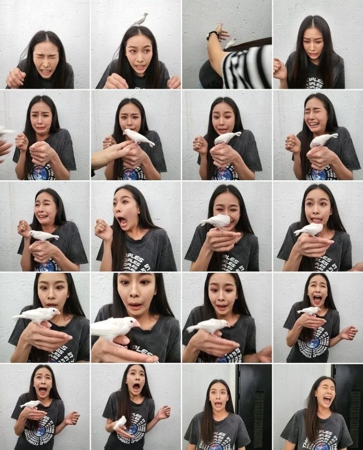 Yoojgun's tweet photo. Here's the snippet of my gallery when Kiru paid me a visit. Thank you for being a brief companion, Kiru. It was great time. 🐦 https://t.co/ptLuc9cc3P
