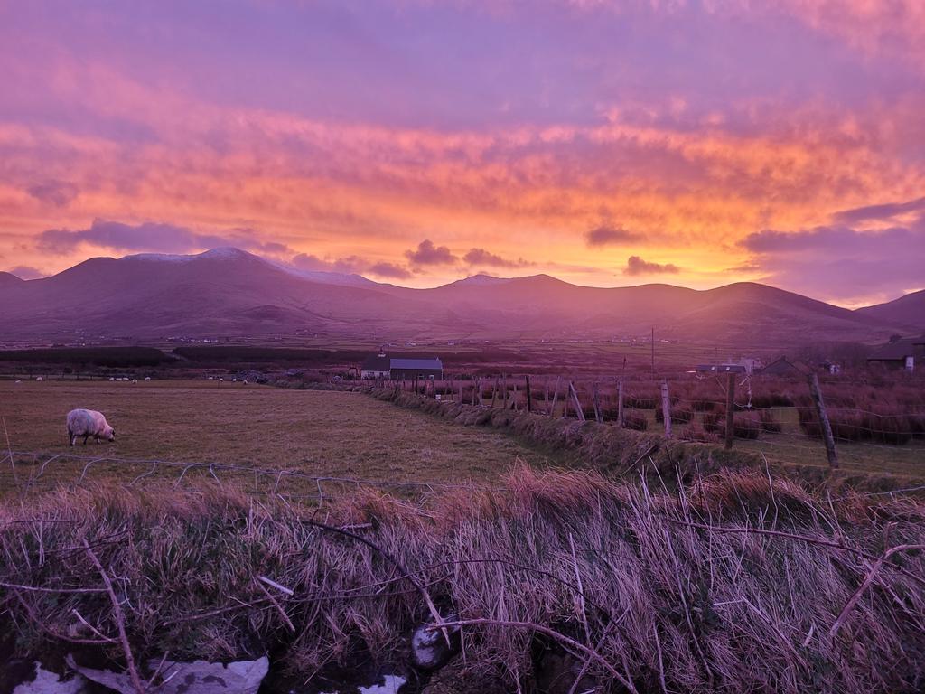 SlaineNi's tweet photo. Cnoc Bréanainn ar maidin.
#MtBrandon at sunrise. https://t.co/ticMzl2QdX
