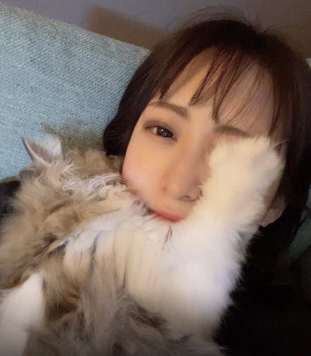 stark_dominque's tweet photo. 引きこもり陰キャですがセフレ欲しいので身体の関係で定期的に会える方いますか？
童貞筆下ろしもしてみたい😆
猫ちゃんとのツーショと寝起きスッピンでゲームしてる写真ですが雰囲気こんな感じです！
 #オフぱこ募集 
 #童貞募集 
 #ヤリモクのいいねください https://t.co/Pwob4jKSUf