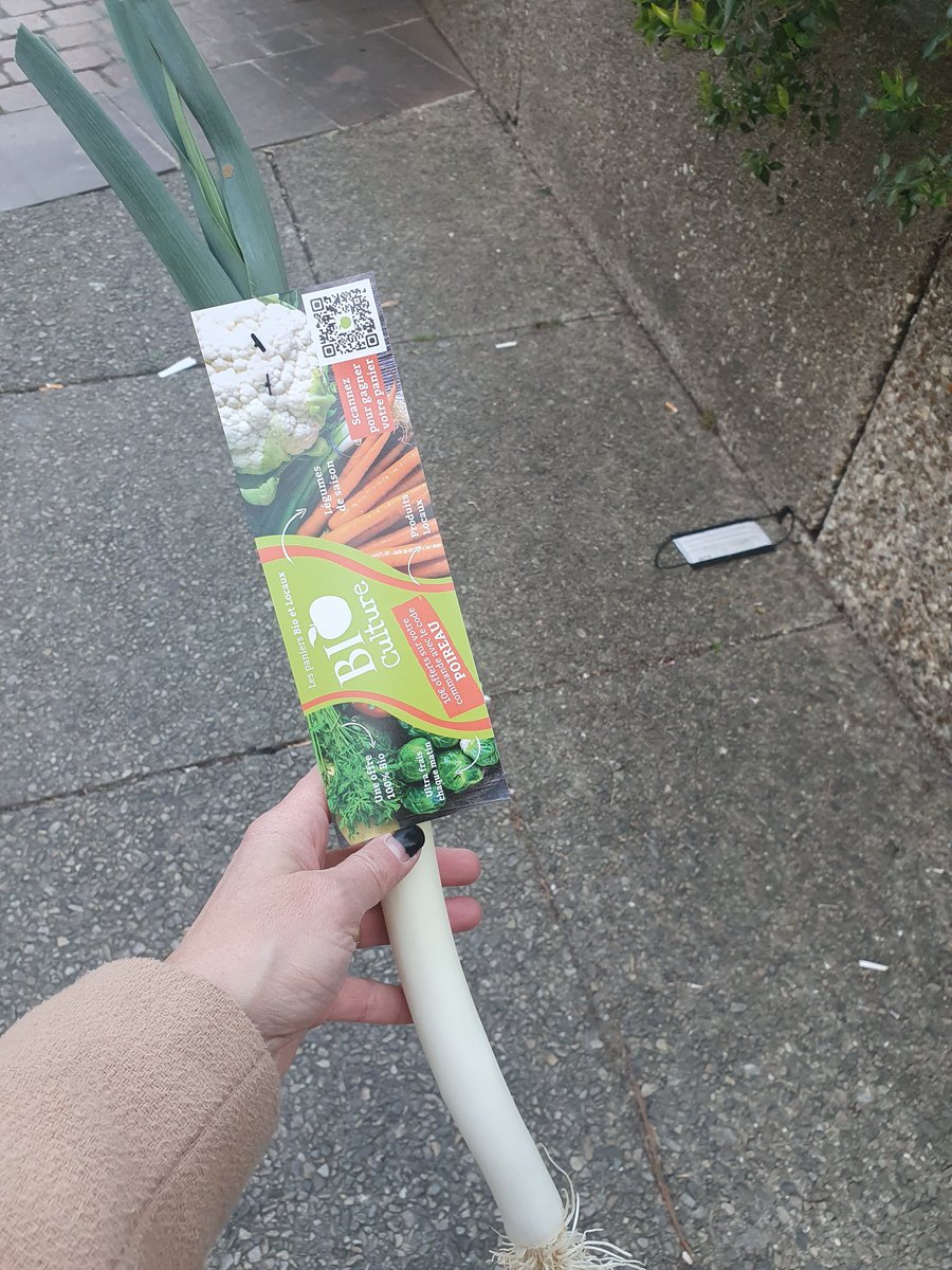 bbrusiak's tweet photo. Et d'un coup un inconnu vous offre des #fleurs ? 
Non un #poireau .. merci #panierbio et #locaux. 
Nous allons avoir l'air "faim" https://t.co/0FIDzjPOII