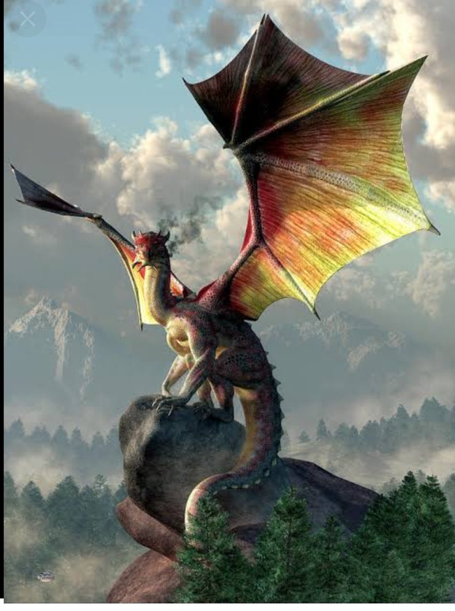 крылья дракона сбоку. драгон вингс. Zbrush дракон крылья. крылья драконов. как выглядят крылья дракона.