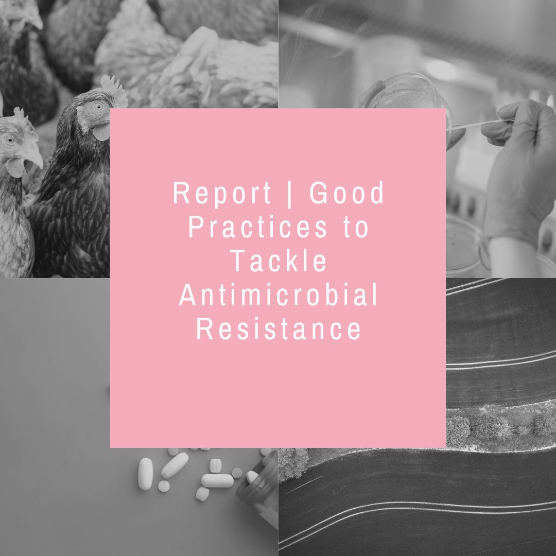 EPHA_EU's tweet photo. Antimicrobial resistance #AMR crosses national borders and endangers medical procedures.
@UniFerrara Probiotic Cleaning Hygiene System #PCHS reduces environmental AMR in hospitals.
Read more in the #AMRStakeholderNetwork Good Practices Report👉 https://t.co/G4rOaOPGSO https://t.co/28pCvK2vOb