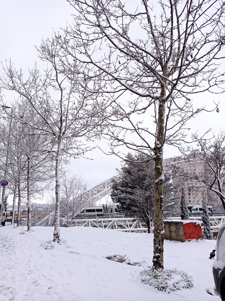 _grriiiii's tweet photo. Günn     |    Aydınn❄️ https://t.co/yNVvs6ZwP5