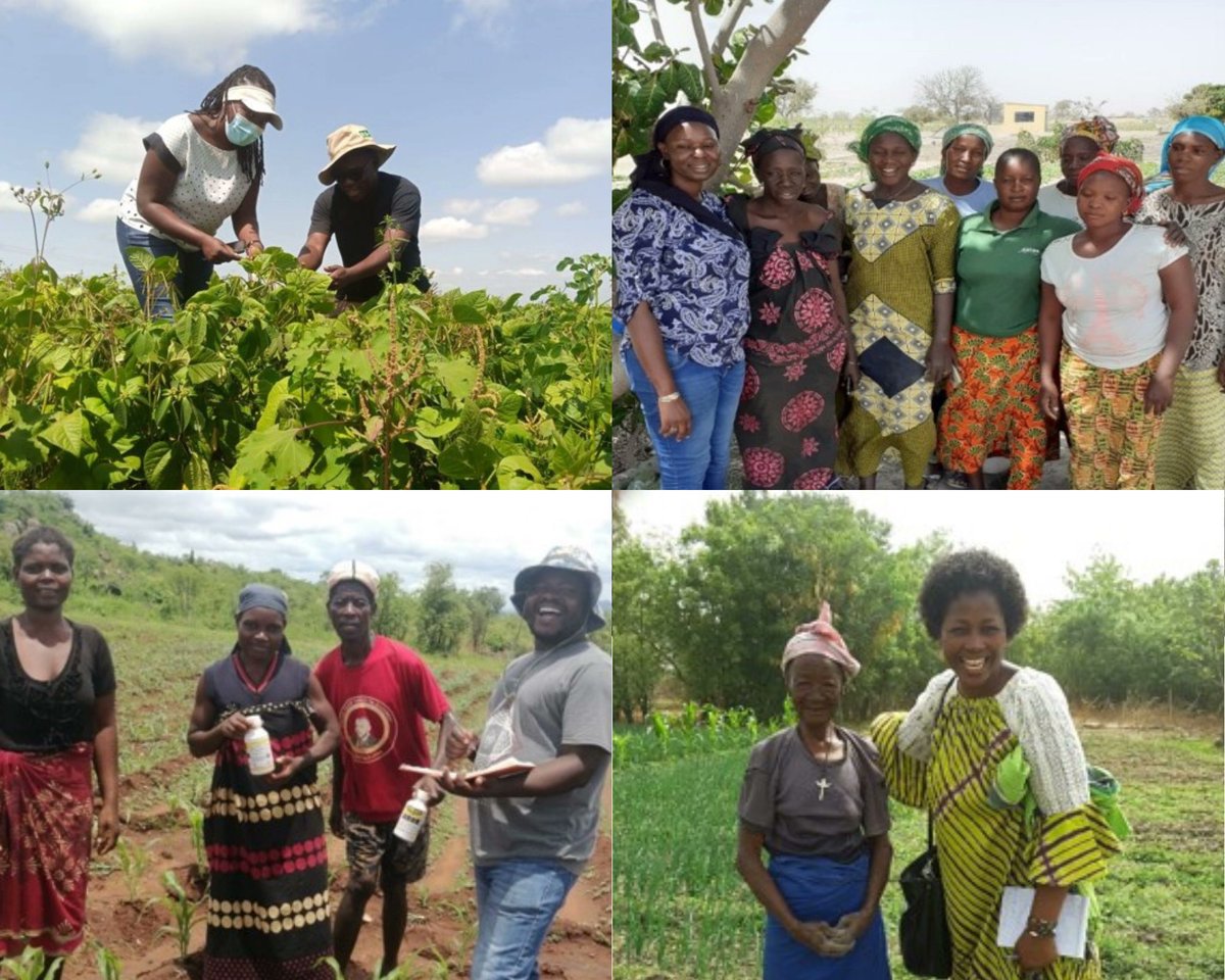 GiselleHuerta16's tweet photo. In order to help chimpanzees we must help local communities first. By showing these communities sustainable practices for agriculture they'll be using the land sustainably and conserving the land. #39canimals https://t.co/xAIKnItfno