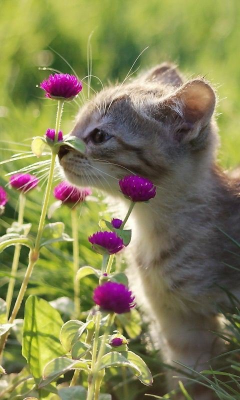 JenaC2's tweet photo. Have a wonderful day y’all xx 😘🧚🏻🌸💓 #spring2022 https://t.co/5cojJAXun7