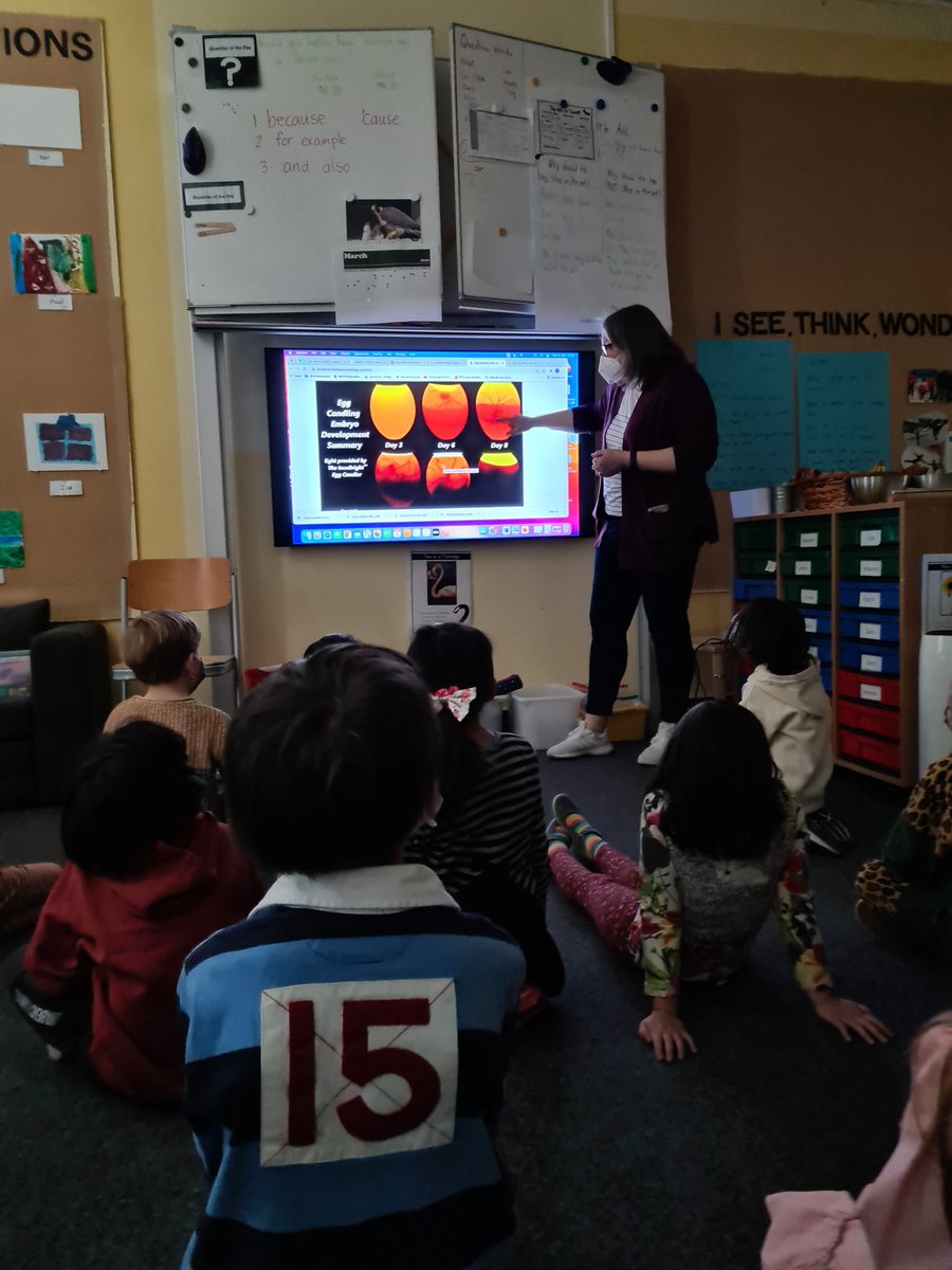 asheames tweet media