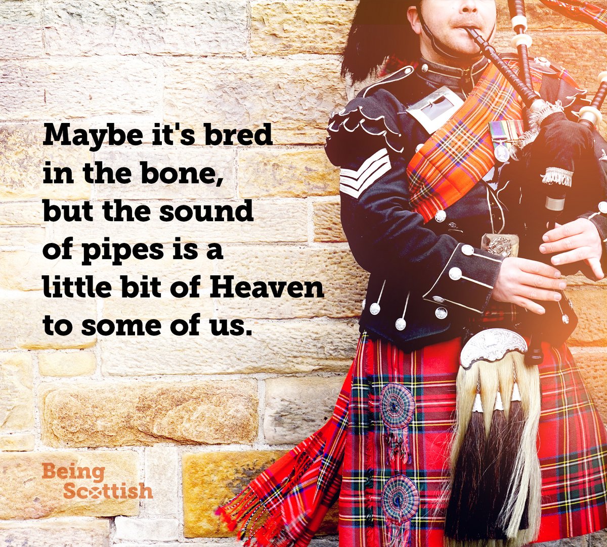Happy #InternationalBagpipeDay folks! The essential Scottish sound 🏴󠁧󠁢󠁳󠁣󠁴󠁿👌