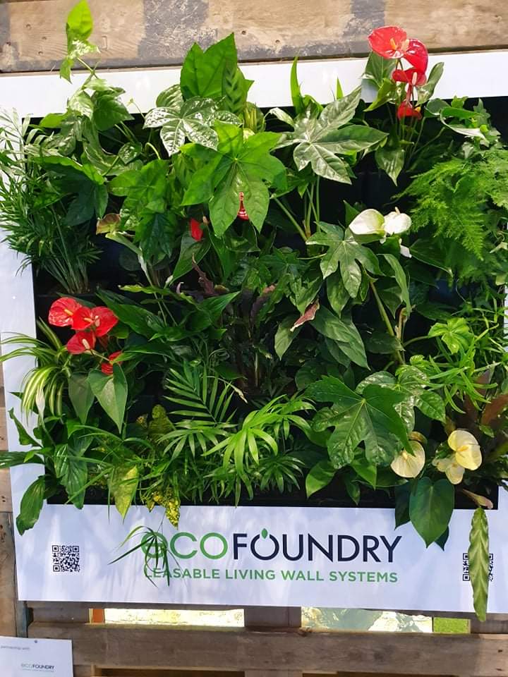 It was great to be back at Excel for #Confex First live event in 2 years. While it was so nice to meet up with old friends it was also great to be inspired by new ideas like this #livingwall by #ecofoundry