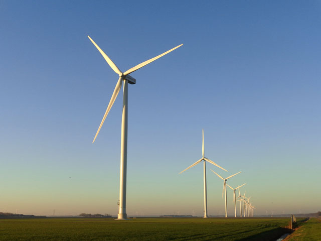 ErmeloVanNu tweet media