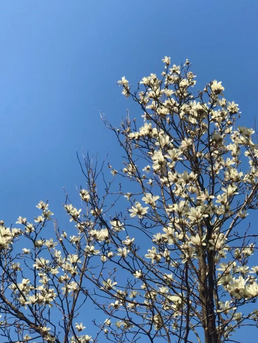 To the beauty of the world