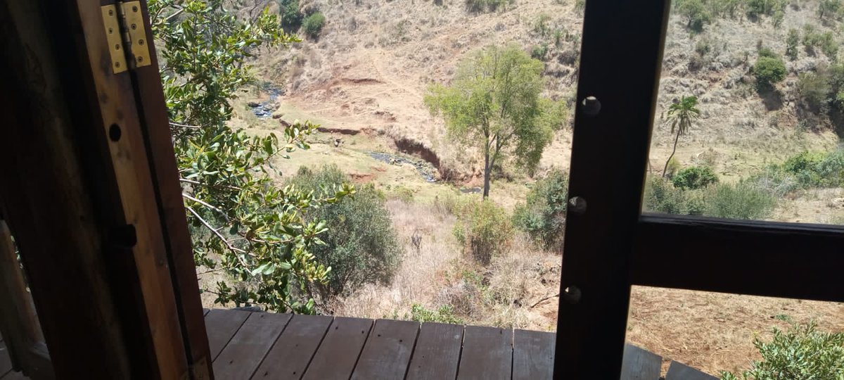 dkale321's tweet photo. More about the tree house. It's has the best Mt Kenya view especially in the morning hours. and various ranches around the camp. @EntalataCamp  #EntalataLaikipiaCamp https://t.co/5v9hZJXsrt