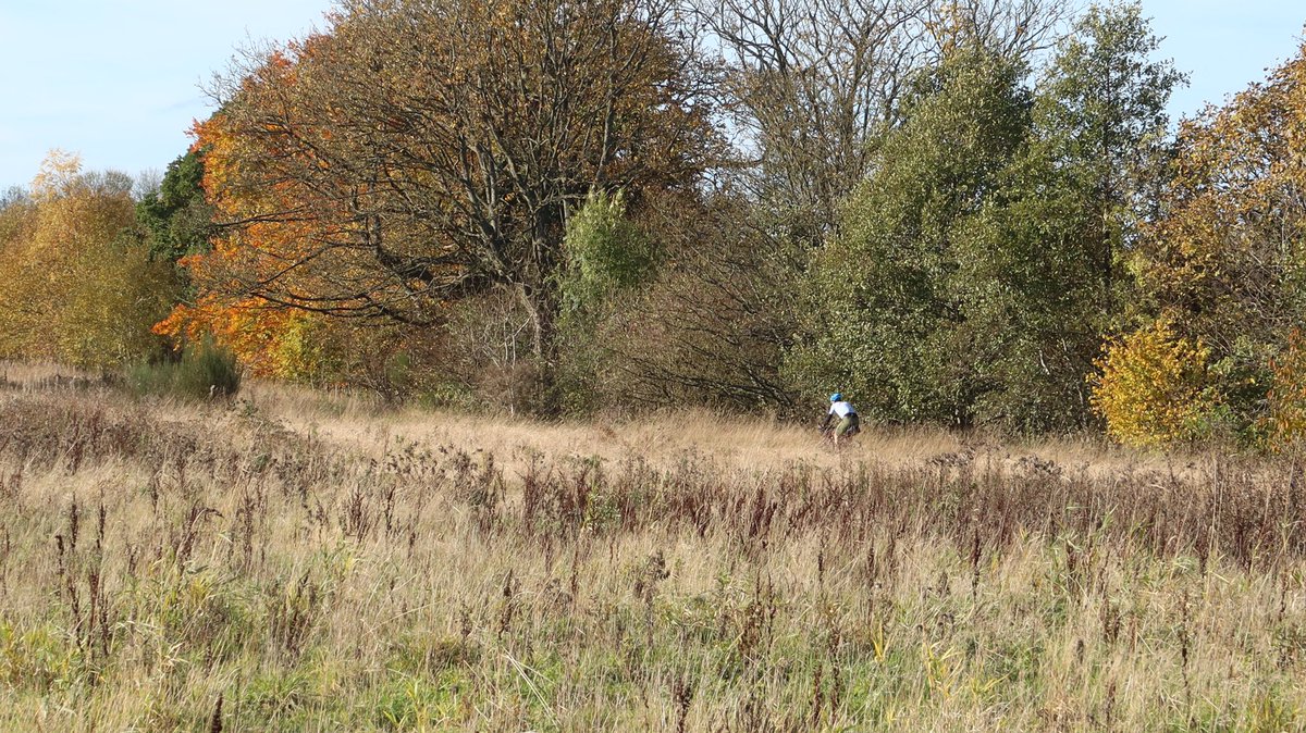 Bikepacking Scotland tweet media