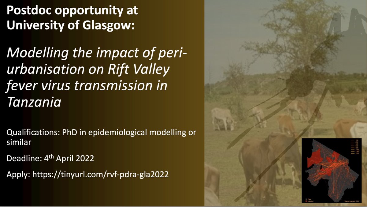 Postdoc opportunity @UofGlasgow: Modelling the impact of peri-urbanisation on Rift Valley fever virus transmission in Tanzania. Working with me, @CleavelandSarah, @jenniesuz & colleagues @IBAHCM & @LSTMnews. @IDDjobs #Epidemiology #epitwitter tinyurl.com/rvf-pdra-gla20…