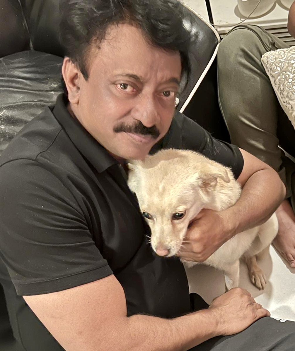 RGVzoomin's tweet photo. Sometimes I also have feelings https://t.co/QuF2AZqYTm