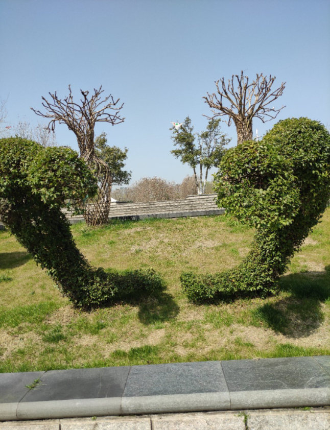 HenryGo76997741's tweet photo. In the spring, the sun is shining on the earth, the spring breeze is gentle, the grass is growing and the warbler is flying, and the scenery is everywhere. https://t.co/dwdqLF2wER