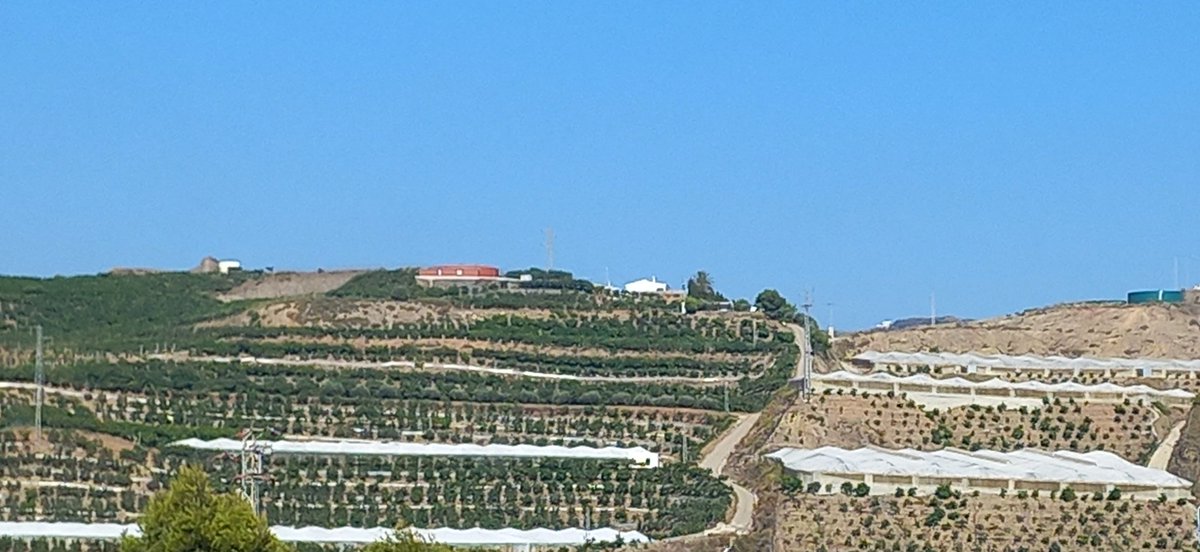 Santi_MBarajas's tweet photo. El destrozo que se está produciendo en las sierras costeras de Málaga y Granada por el cultivo de aguacate y mango es enorme. También están sobreexplotando los recursos hídricos superficiales y subterráneos. Y todo ello con el beneplácito de la Junta de Andalucía. Lamentable. https://t.co/aRdkxHAOEs