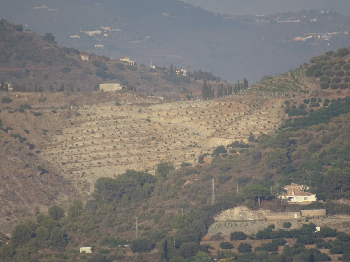 Santi_MBarajas's tweet photo. El destrozo que se está produciendo en las sierras costeras de Málaga y Granada por el cultivo de aguacate y mango es enorme. También están sobreexplotando los recursos hídricos superficiales y subterráneos. Y todo ello con el beneplácito de la Junta de Andalucía. Lamentable. https://t.co/aRdkxHAOEs