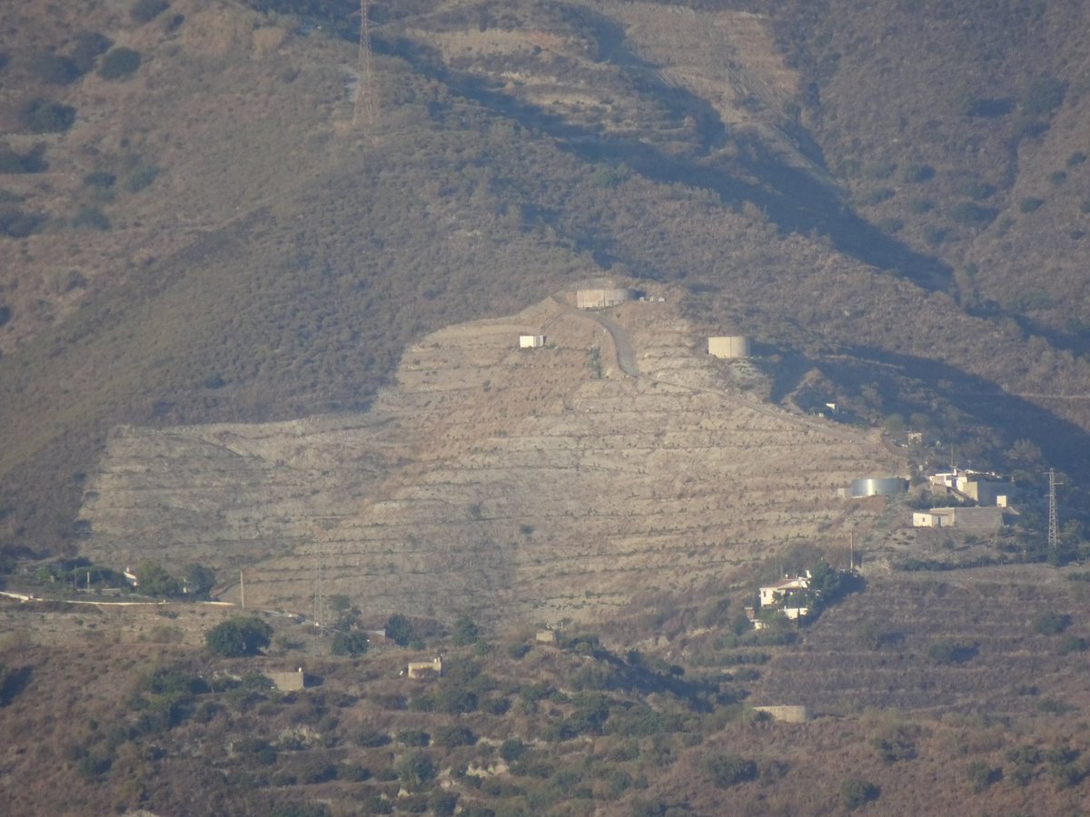 Santi_MBarajas's tweet photo. El destrozo que se está produciendo en las sierras costeras de Málaga y Granada por el cultivo de aguacate y mango es enorme. También están sobreexplotando los recursos hídricos superficiales y subterráneos. Y todo ello con el beneplácito de la Junta de Andalucía. Lamentable. https://t.co/aRdkxHAOEs