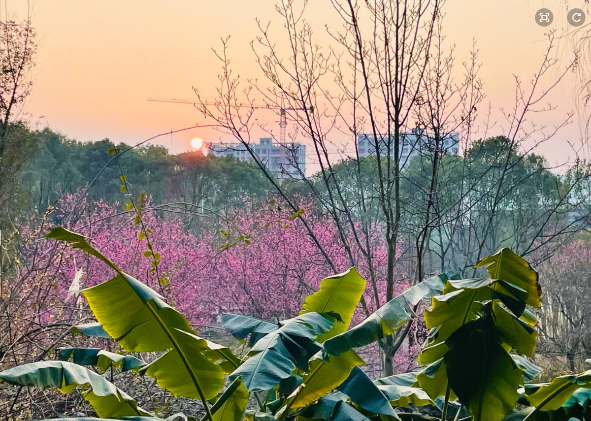 JohnnyF04386983's tweet photo. spring blossoms
Also known as the 70's landscape map https://t.co/Jjv41xeisK