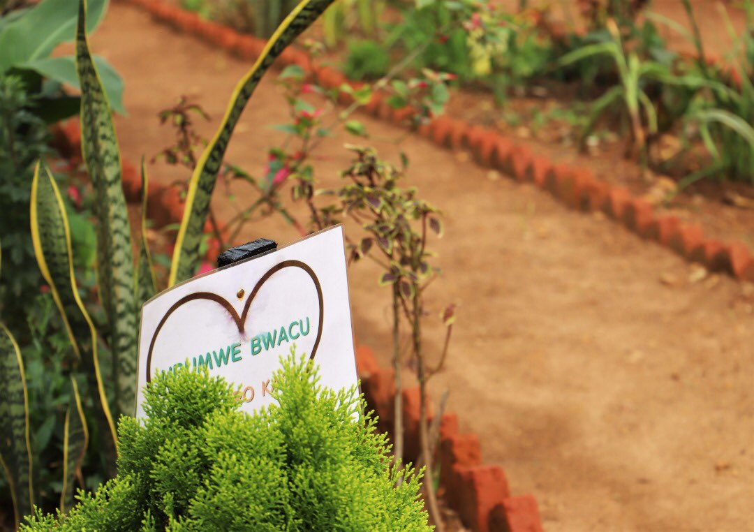 GSF_RC's tweet photo. You would love to see these for sure!
#NdiUmunyarwanda,
#Ubumwe bwacu, Agaciro kacu,
#GusabaImbabazi ni Ingenzi;
All these are impactful messages of unity and reconciliation you will find once you visit the #UnityandReconciliation garden at @GSF_RC https://t.co/KUA2JdanXW