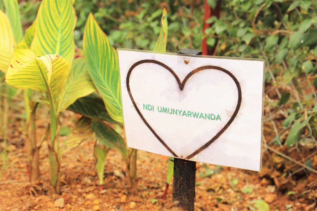 GSF_RC's tweet photo. You would love to see these for sure!
#NdiUmunyarwanda,
#Ubumwe bwacu, Agaciro kacu,
#GusabaImbabazi ni Ingenzi;
All these are impactful messages of unity and reconciliation you will find once you visit the #UnityandReconciliation garden at @GSF_RC https://t.co/KUA2JdanXW