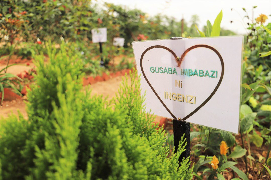 GSF_RC's tweet photo. You would love to see these for sure!
#NdiUmunyarwanda,
#Ubumwe bwacu, Agaciro kacu,
#GusabaImbabazi ni Ingenzi;
All these are impactful messages of unity and reconciliation you will find once you visit the #UnityandReconciliation garden at @GSF_RC https://t.co/KUA2JdanXW