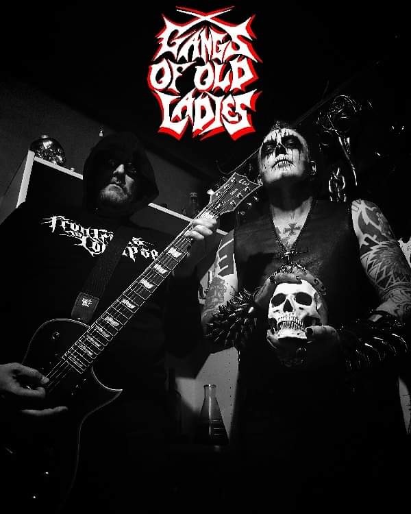 Gangs of Old Ladies tweet media