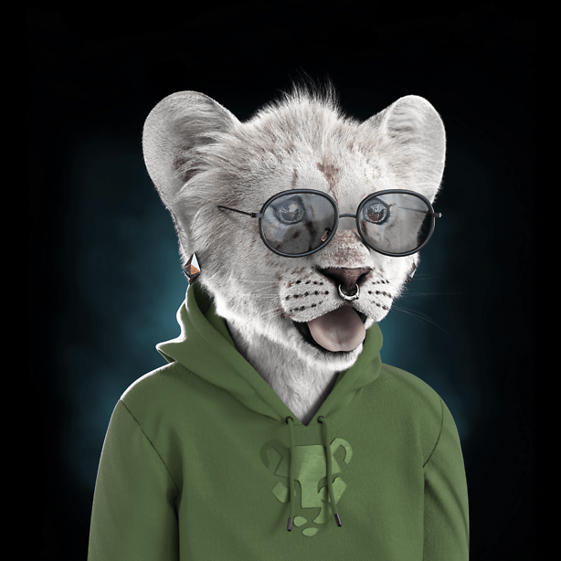 TheRoyalCubs's tweet photo. Thanks for showing love to the 🦁 community 🤘 

Wen 'JungleVerse' ready? The #RoyalCubs holders are ready to take all them $JUNGLECOIN bags!

#SpreadTheRoar https://t.co/Z3oTKzuRT8