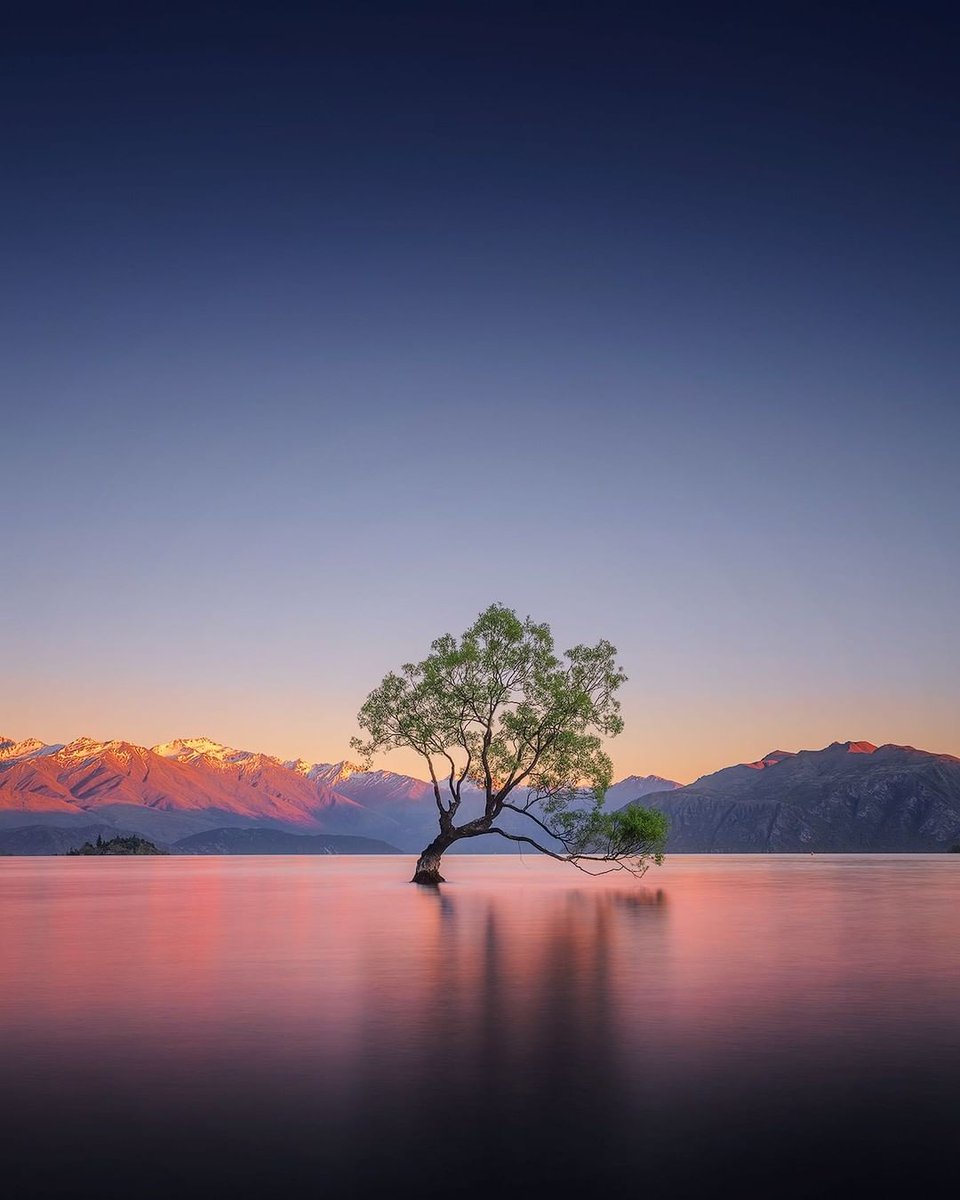 NikonProEurope tweet picture